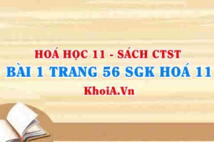 Bài 1 trang 56 SGK Hóa 11 Chân trời sáng tạo